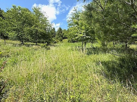 2nd image of TBD Park View Drive