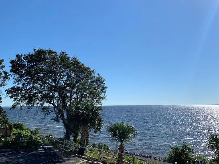600 Scenic Highway 207 — Photo 26