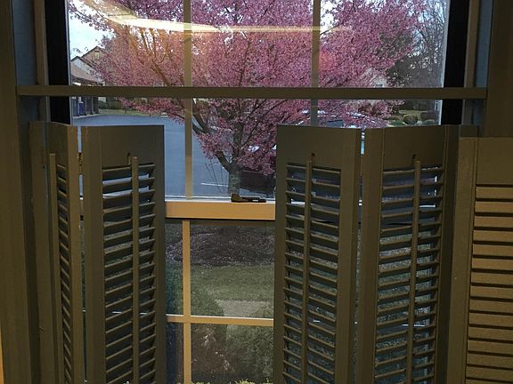 One of 3 Kitchen windows brings in the sun