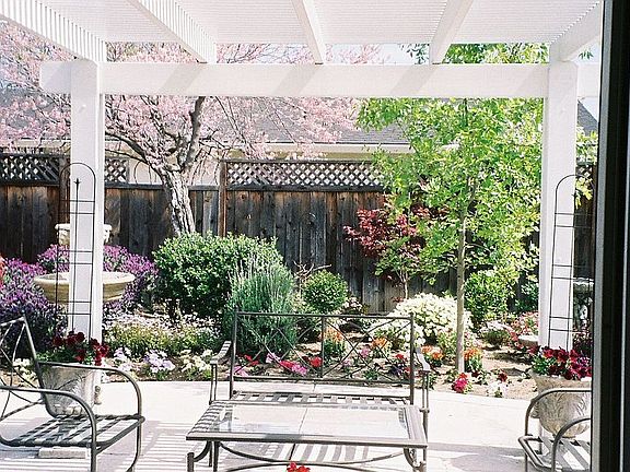 View of Backyard Patio