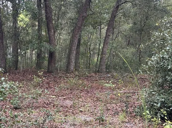 102 Pond Unassigned, Hawthorne, FL 32640