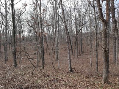 Great Woods Rd, Mammoth spring, AR, 72554