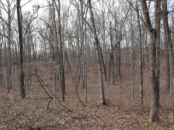 Great Woods Rd, Mammoth Spring, AR 72554