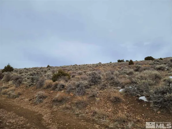 0 Pond Peak Rd, Reno, NV 89510