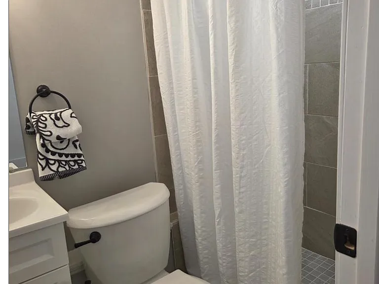Lower Level Bathroom (3)