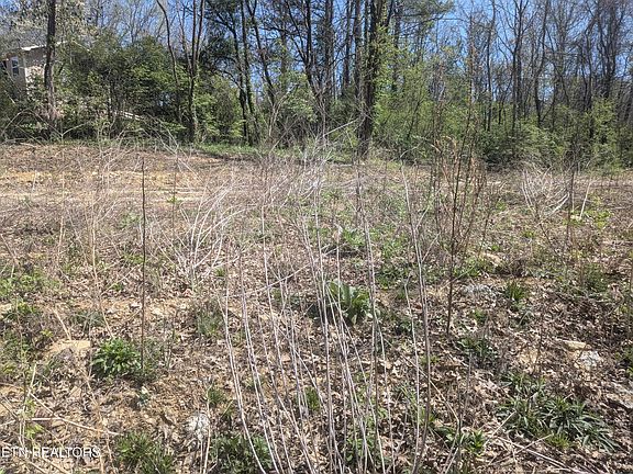4th image of 2147 Belt Rd