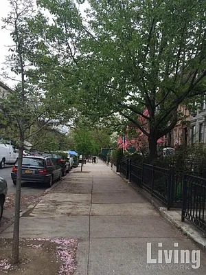 Rented by Living New York | media 48