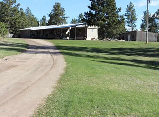 25247 Shannon Ln, Custer, SD 57730