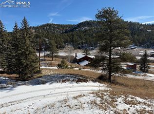159 W Platte Rd, Lake George, CO 80827