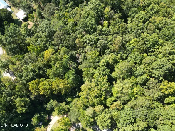 White St, Rockwood, TN 37854