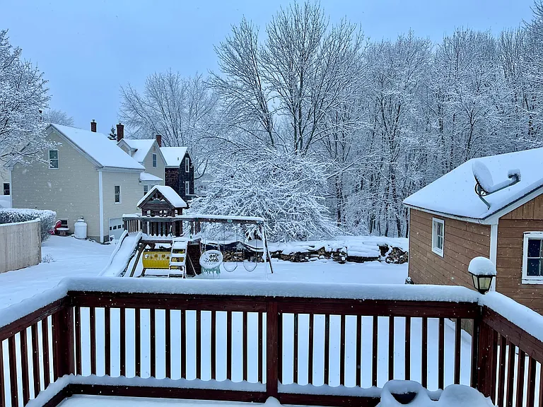 Backyard view