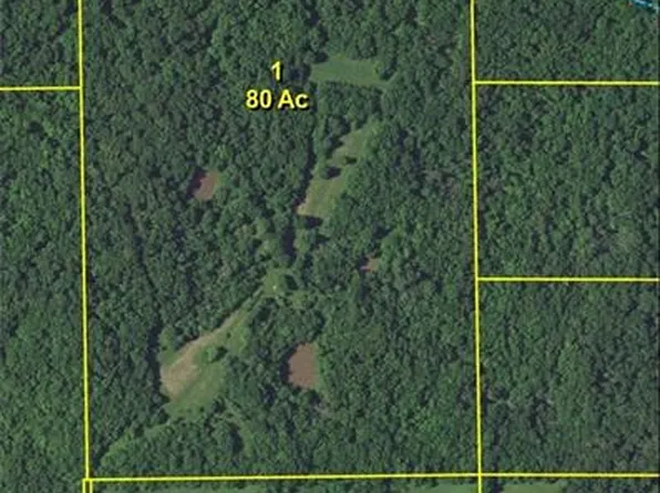 165th St, Kidder, MO 64649