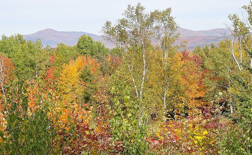 2nd image of 0 Voter Hill Rd