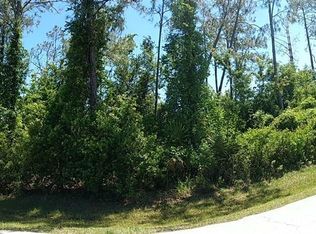 46 Zinnia Trl, Palm Coast, FL 32164