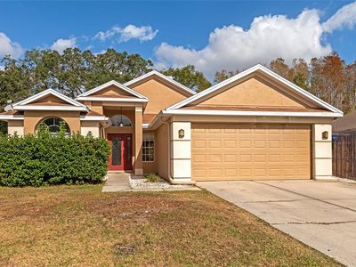 1228 Cord Grass Ct, Zephyrhills, FL, 33543