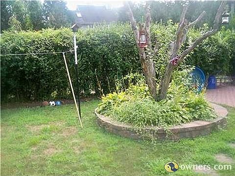 back yard view 1