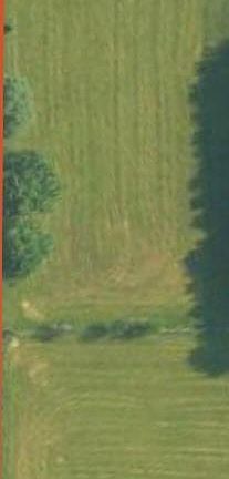 5th image of 195 NW Ray Cemetery Rd