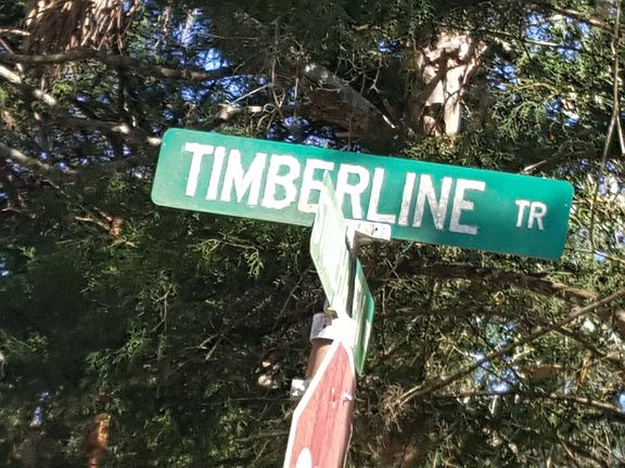 5th image of 315 Timberline Trl
