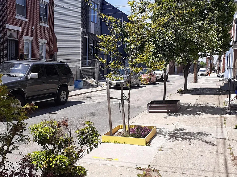 Pierce street circa 2020 (trees are bigger now)