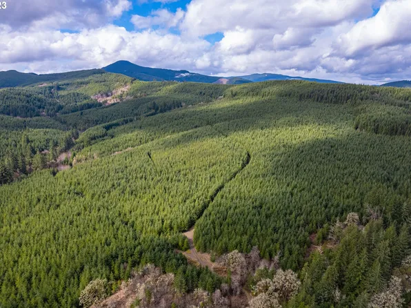 0 Lee Rd #100, Monroe, OR 97456