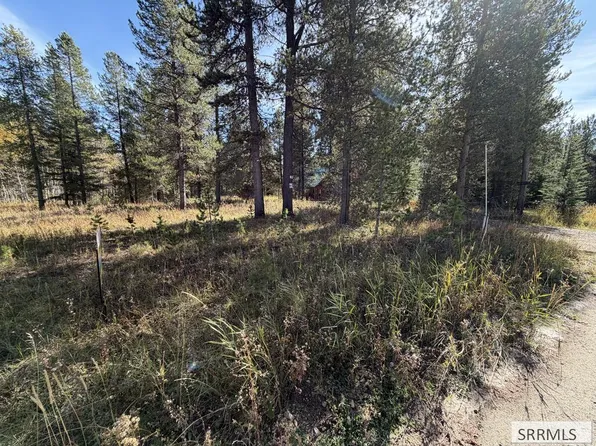 Beaver Dr, Island Park, ID 83429