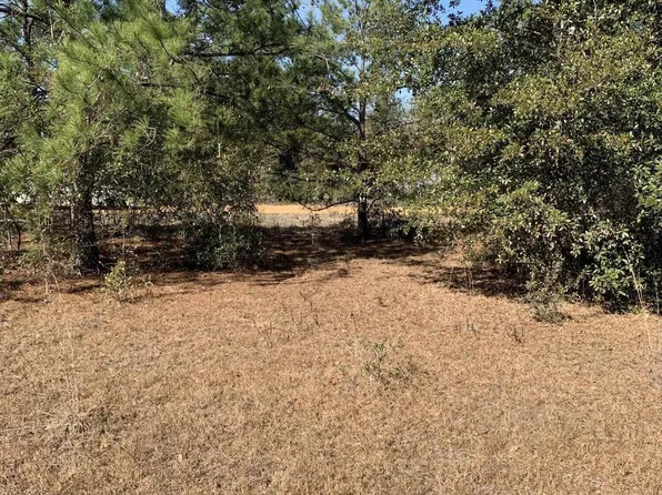 582 Campbell Circle, Alford, FL 32420