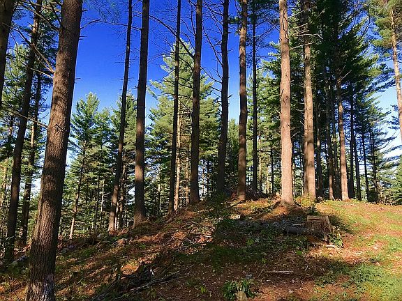 2nd image of 12 Pine Knolls Trl