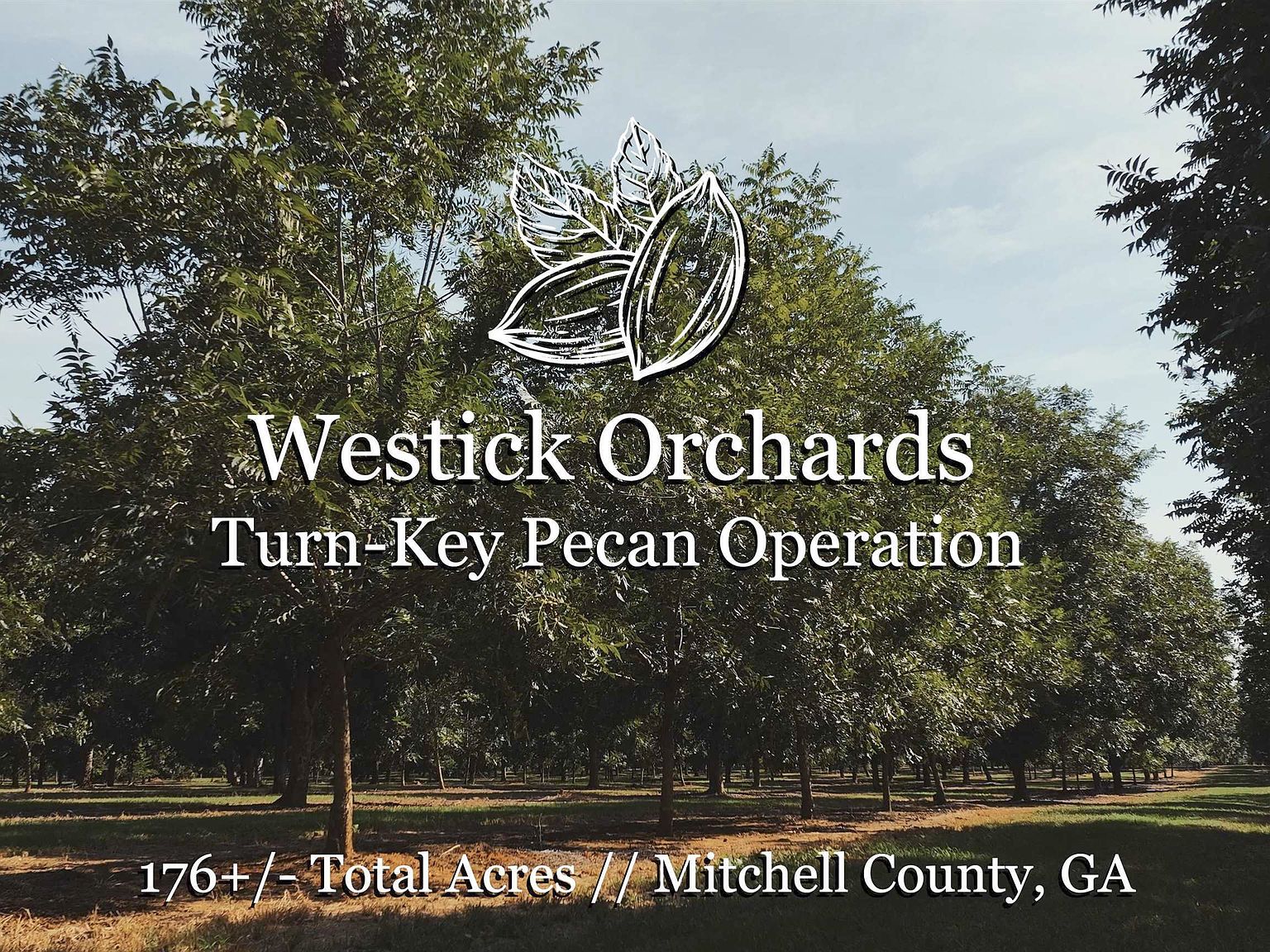 9680 Vines Rd, Baconton, GA 31716 Zillow