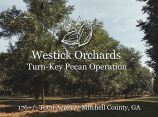 9680 Vines Rd, Baconton, GA 31716