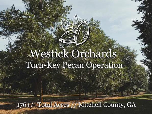 9680 Vines Rd, Baconton, GA 31716