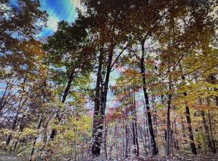 6 Morgan Dr LOT 6, Young Harris, GA 30582