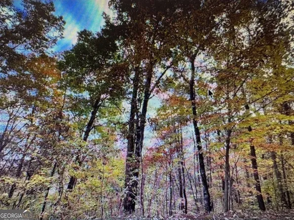 6 Morgan Dr Lot 6, Young Harris, GA 30582