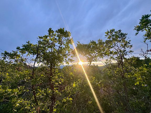 4th image of 1556 S Tree Top Ln