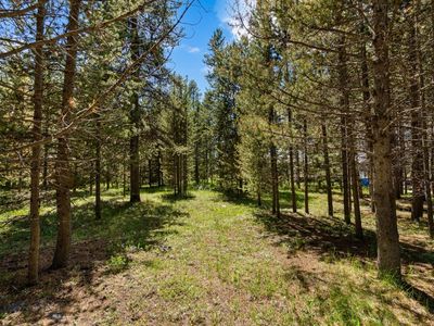 N Coyote Dr, West Yellowstone, MT, 59758