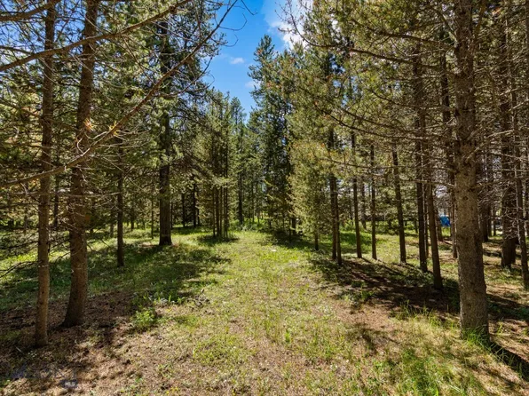 N Coyote Dr, West Yellowstone, MT 59758