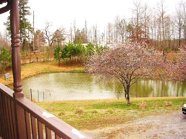 Pond in front