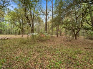 2905 Holladay Rd, Manning, SC 29102