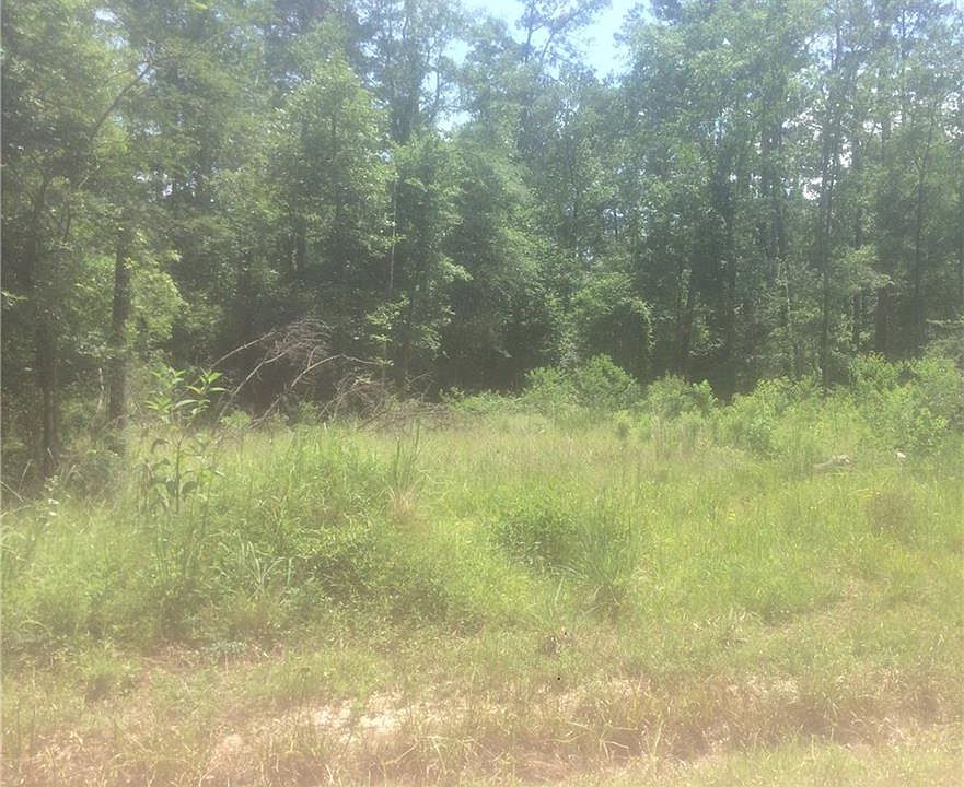 1st image of Magnolia Dr