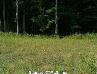 2nd image of Joshua Town Rd Rd Lot 13