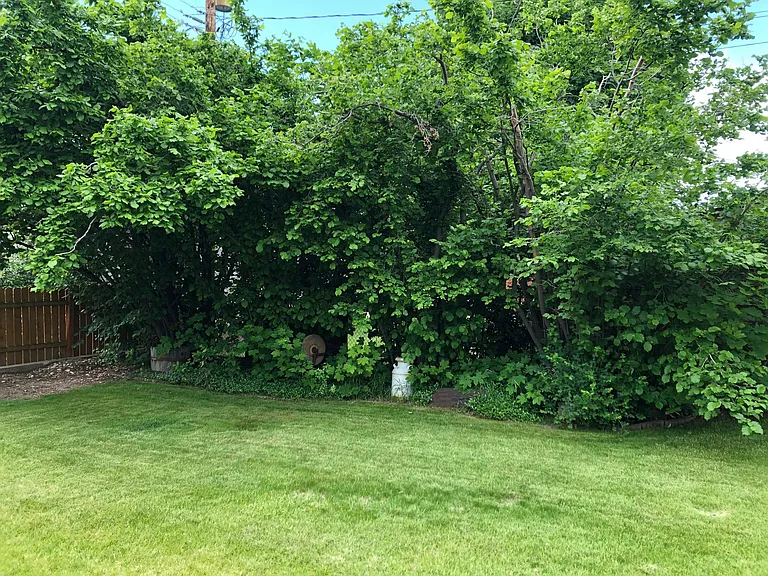 379 N 250 E — Photo 3