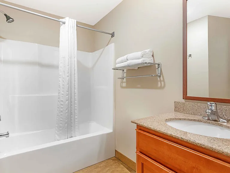 Studio Suite - 1 King Bed