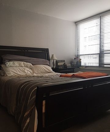 5th image of 222 E Pearson St APT 1903