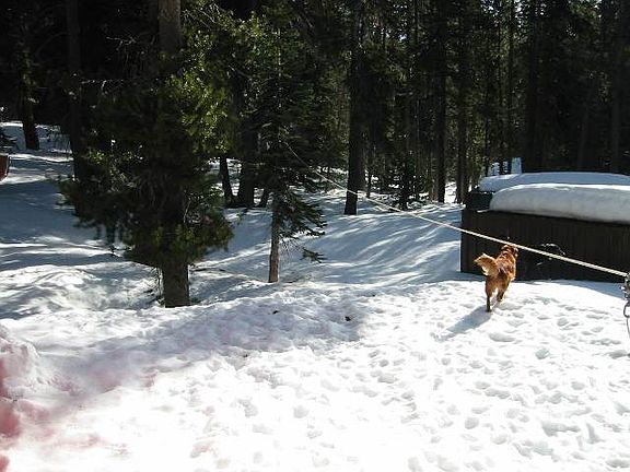 5th image of 10079 Sierra Ave