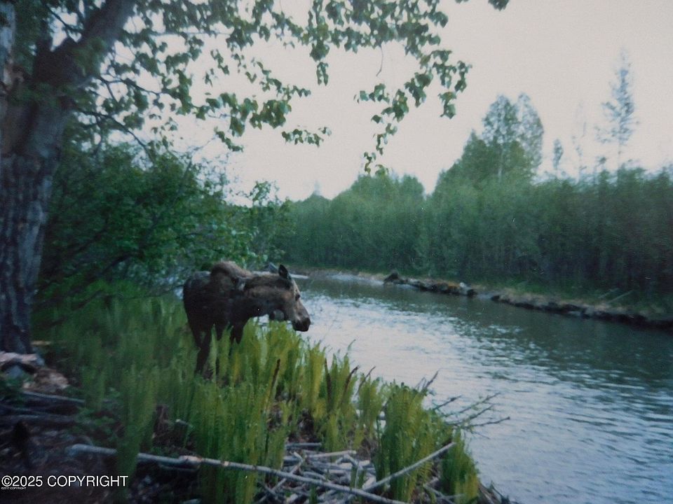 1st image of L3 1st Chase #2