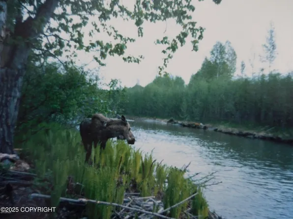 L3 1st Chase #2, Talkeetna, AK 99676