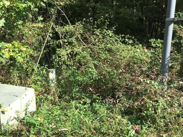 LOT 45 Chestnutwood Dr, Chilhowie, VA 24319
