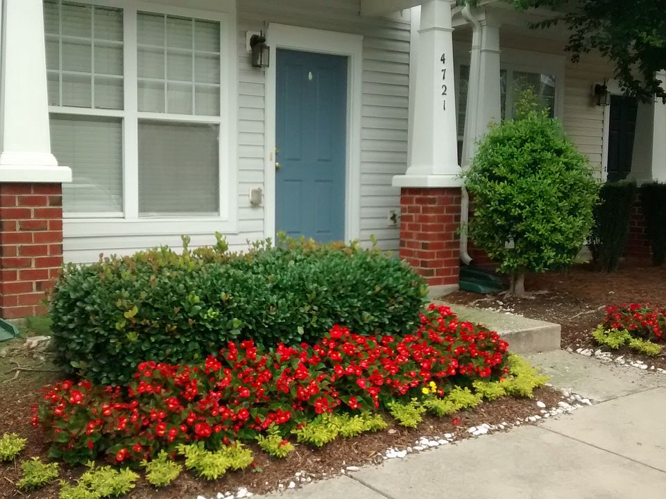 IMG_20200701_104910665_07102020