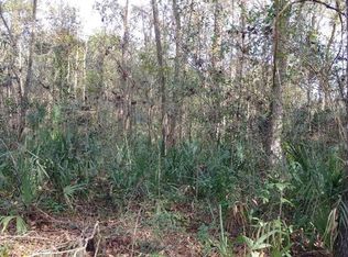 Newaygo Rd, Nobleton, FL 34661