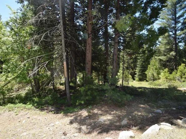 42084 Tourmaline Ln #102, Shaver Lake, CA 93664