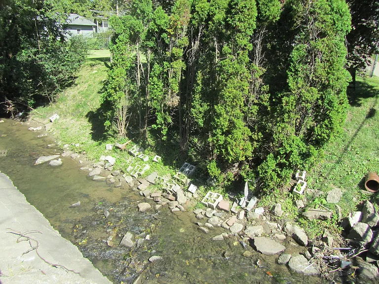 Ralston Creek in back yard